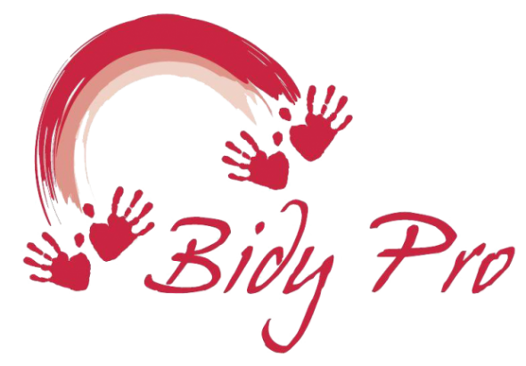 logo bidy pro